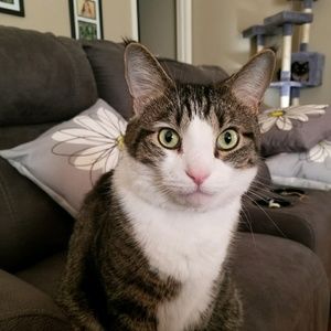 Meet your Posher, Shannin